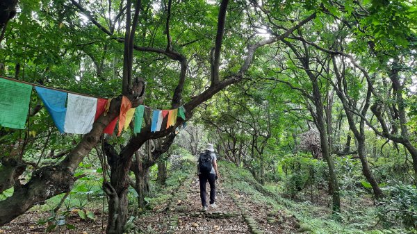 《彰化》果園古道｜廣天宮隴頂古道到鳳山寺O繞202509142884041