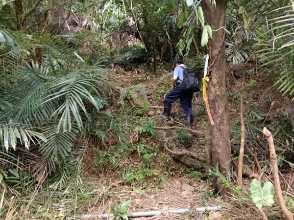 貢寮區龍洞坑古道+苦苓嶺+南雅山+海園古道O型2954602
