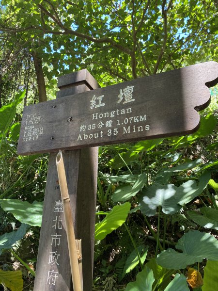《陽明山秘境健行｜翠峰瀑布 × 天母古道 夏日涼爽路線》2852209