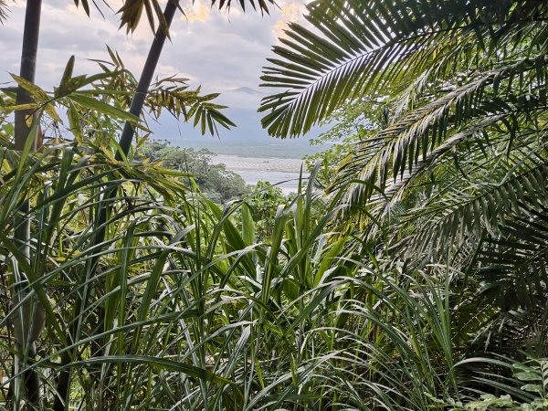 [漫遊縱谷 愛在花東-09/10] 2025_1012 米棧古道2913553