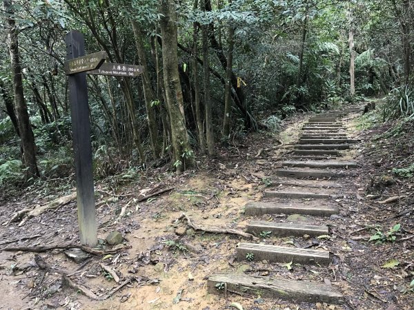 111.02.26 大坪街登土庫岳1620958