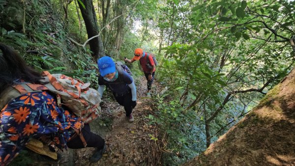 烏桶縱走(烏來山→大桶山)忠治出全紀錄2915219