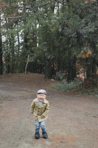 20200310-司馬庫斯神木群步道914316