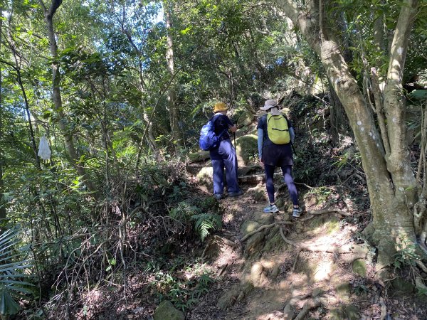 2025微笑山線大縱走尋寶集章任務-Ep.03【鳶山山系】鳶山彩壁段2893650