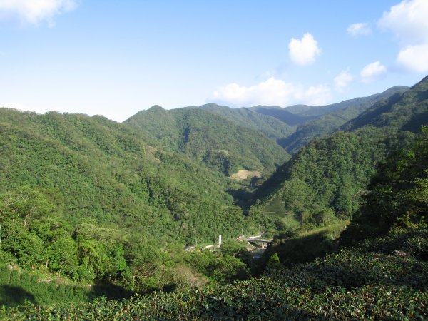 坪林虎寮潭／闊瀨1962220