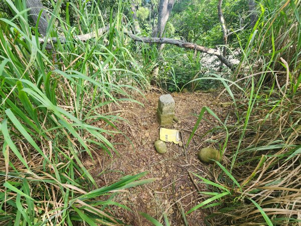 20250921學田山王田山大肚山大尖山竹坑山2928487