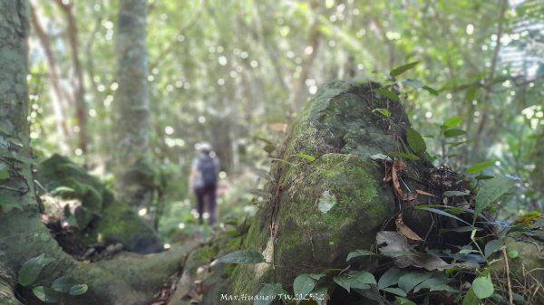 《新竹》沒那簡單｜關西赤柯山東獅頭山步道O繞202506152813515