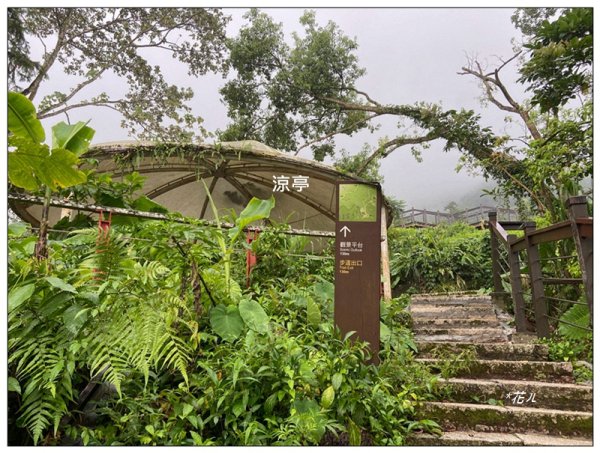 太興岩步道、萬鷺朝鳳、巧雲小棧 (嘉義 梅山)2886378