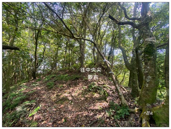 平溪中央尖、慈恩嶺、東勢格步道 O型一圈3072484