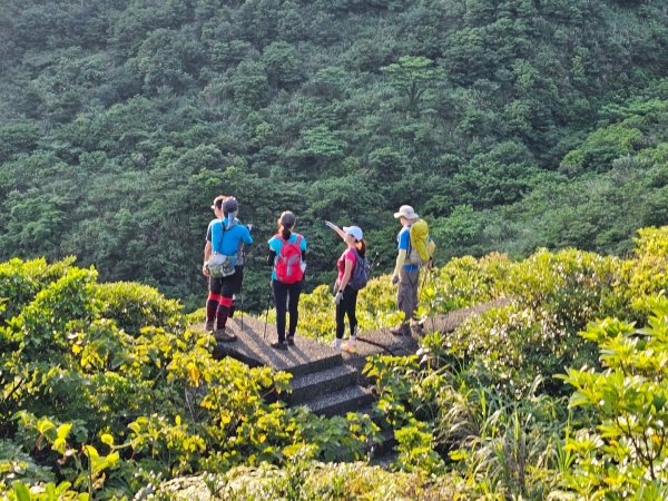 新北 瑞芳 無言的山丘2788509