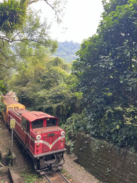 2022.10.15 阿拔泉山、獨立山、獨立山車站、樟腦寮車站、隙頂1953770