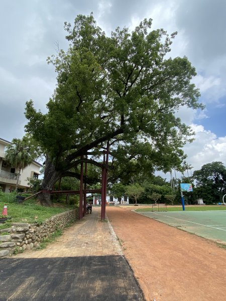 20250706-EP.06犁頭山、文山步道-2025森遊竹縣皮皮獅探險隊2851707