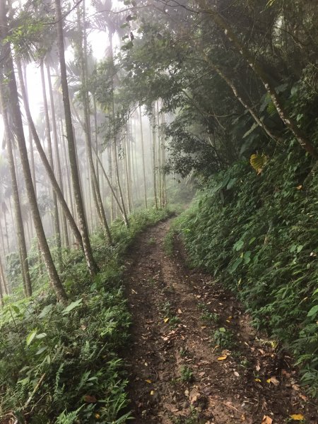 20221010台南雞籠山、九龍山、大凍山、黃牛山O型縱走1878388