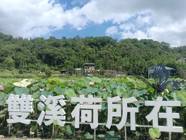 雙溪區彎穹夏日荷影2806529