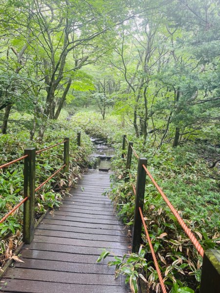 1140811 KR 漢拏山杜鵑花田避難所-紗羅岳觀景臺2860457