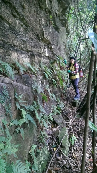 104.01.01 汐止區  新山♡夢湖9455