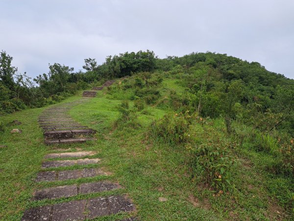 新北桃源谷步道（大溪線）3106372