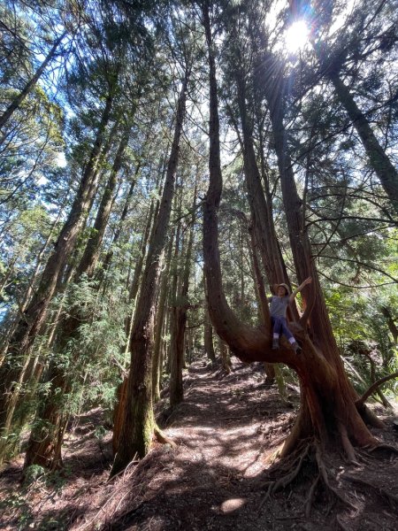 谷關七雄 《 馬崙山 》2025 09/062879770