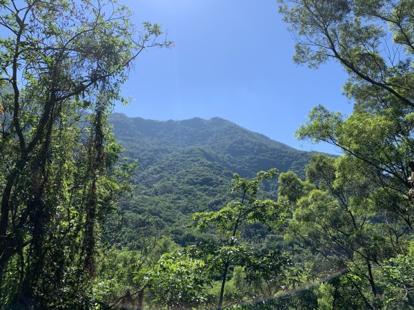 20240706屏東三地山西南峰2546730