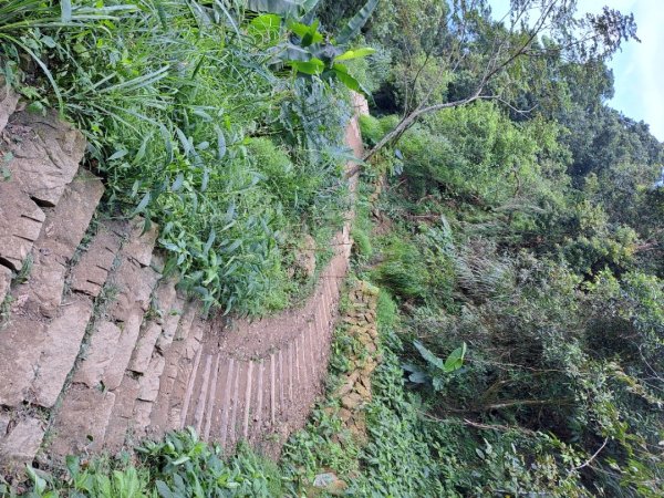 台南關子嶺枕頭山，大凍山，雞籠山步道