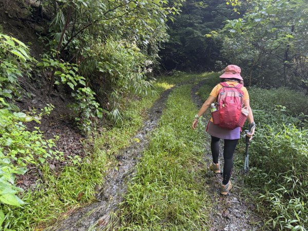 加奈美山 (開車富南上至2K水泥路尾起登)202609063118750