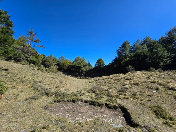 卓社大山〔武界栗栖溪登山口起登〕2748494