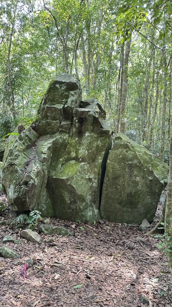 崩潰陡上的水雲三星～鳥嘴山（上島山）2095281