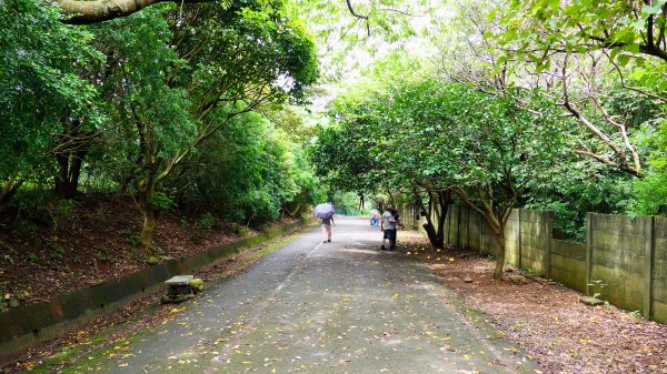 茶山步道,鎮南橋,鴉片菸潭,通學古道2602619