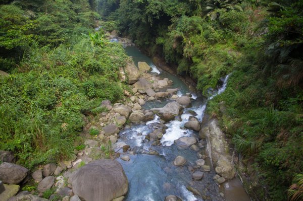 步道巡訪員 l 四天王山步道九月巡訪日誌1091894