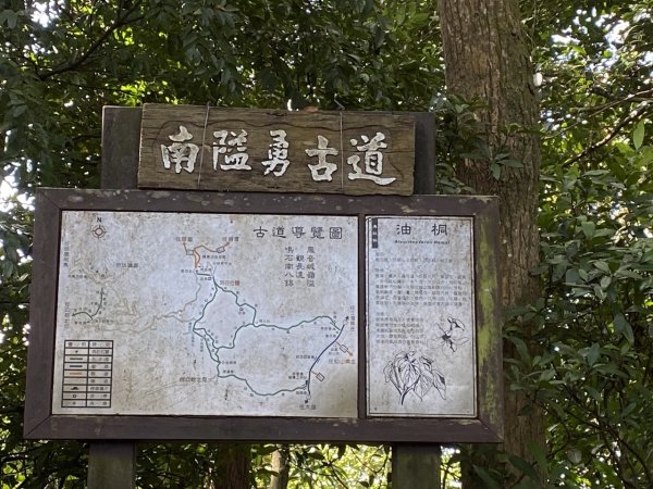 鳳鳴古道3060569