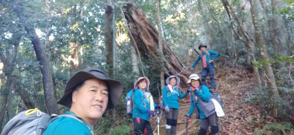 嘉南雲峰石壁山登山步道795339