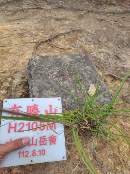 南東眼山連走有勝山2918766