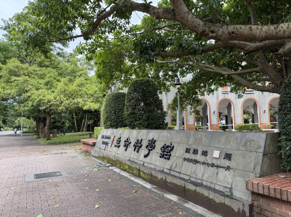 [2026臺北健走趣-11/50] 2026_0808_臺大舟山路3112210
