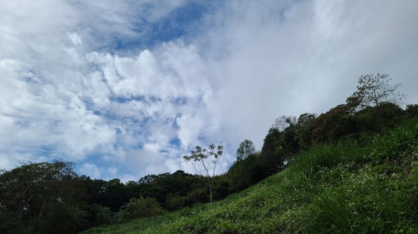 2020-1221 大崎崠登山步道1214937