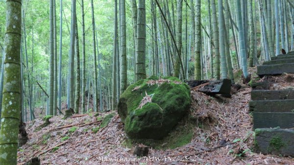 《雲林》望好望角｜石壁山嘉南雲峰步道(中側登山口）202506072805455