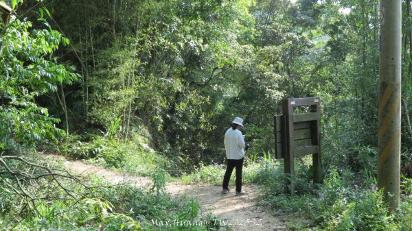 《苗栗》古道柳杉｜雲洞宮鳴鳳古道南長城步道登三湖山202505022777128