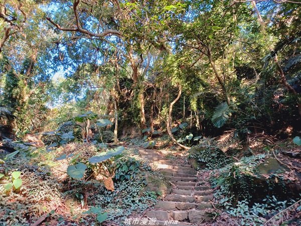 【台南。東山】 適合親子悠遊行。 小百岳集起來。 編號64小百岳-崁頭山步道1558955