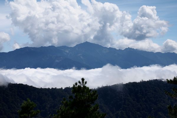 桃山獨走初秋175018