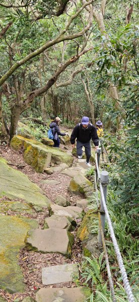 2026-0307 造鎮-文筆山-天華山-南勢角山-蘭花亭-牛伯伯3015879