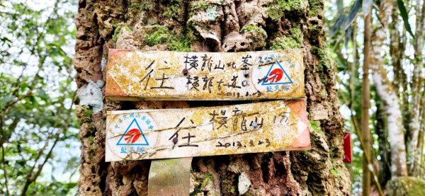 【中級山縱走】水雲三星，橫龍山，騰龍山，橫龍古道2742970