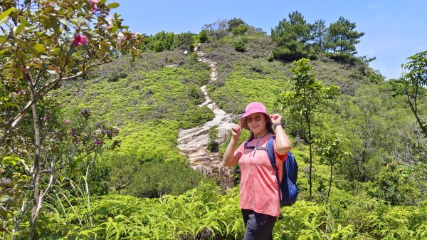 (姨婆趴趴走)第四十三集:攀登連走奇岩山、軍艦岩、丹鳳山2499517