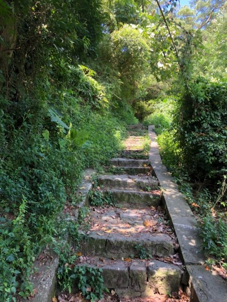 觀音山尖山步道2019802641949