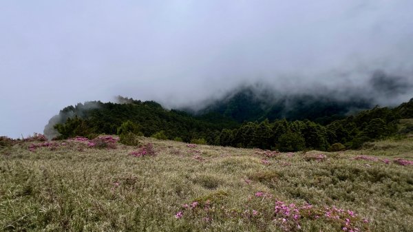 桃山、喀拉業2816821