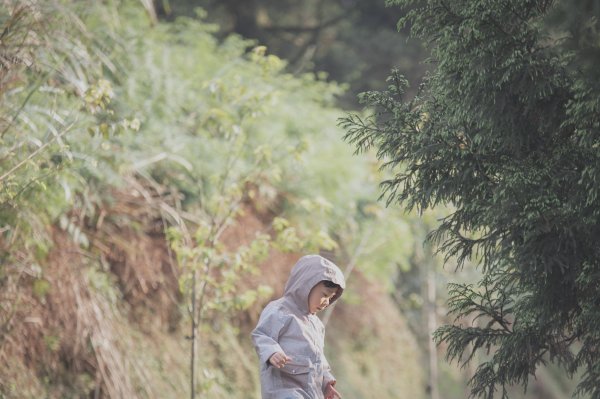 20200411-五分山步道918728