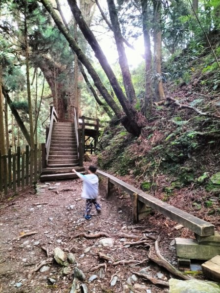 檜山巨木群步道2250304
