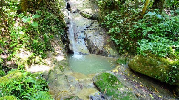 四分子古道,水柳腳步道2622690