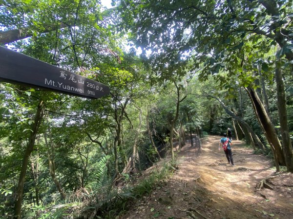 2025微笑山線大縱走尋寶集章任務-Ep.03【鳶山山系】鳶山彩壁段2893712