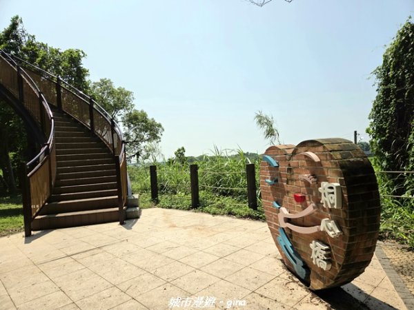 【台中外埔】外埔水流東桐花步道3046226