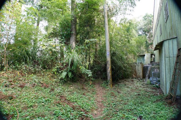 南投 鹿谷 龍鳳山、龍鳳峽山、三叉崙山、水桶寮山、內樹皮山、羊頭崙山、志騰山、竹崙山、溪頭山2962316