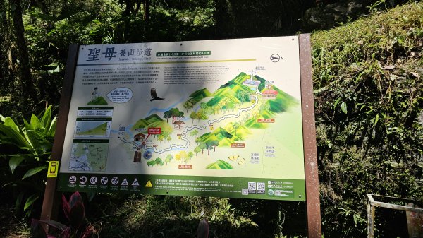 【我的第一個教師節🤣🤣】解鎖第51座小百岳#083三角崙山（抹茶山、聖母登山步道）2900602